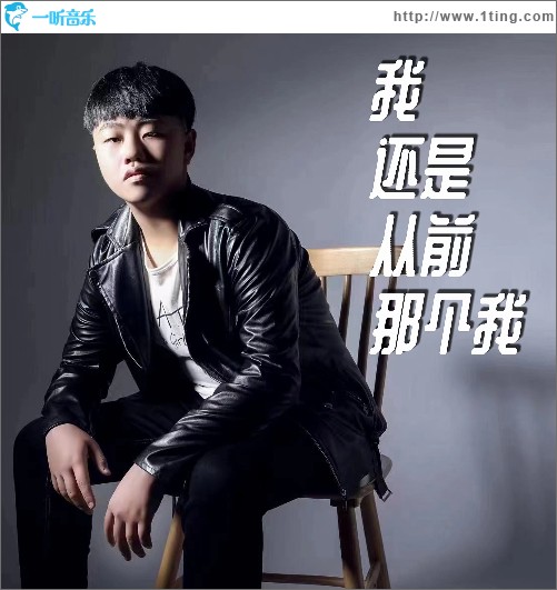 我还是从前那个我（单曲）