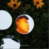 KnowKnow 清空 试听