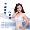 你是我的小欢喜 （单曲）