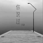 你说过 （单曲）详情