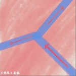 到这 （单曲）详情