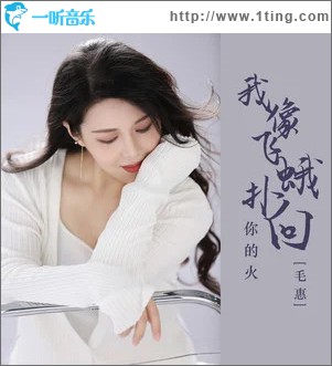 我像飞蛾扑向你的火 （单曲）