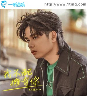 我不配拥有你 （单曲）