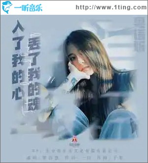 入了我的心丢了我的魂 （单曲）