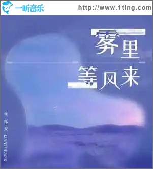 雾里等风来 （单曲）