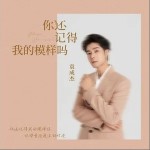 你还记得我的模样吗 （单曲）详情