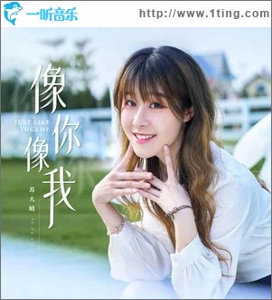 像你像我 （单曲）