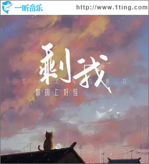剩我 （单曲）