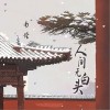 南偿 人间无白头 试听