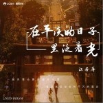 在平淡的日子里泛着光 （单曲）详情