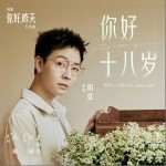 你好 十八岁（单曲）