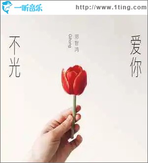 不光爱你 （单曲）