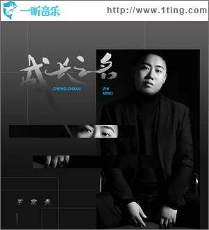 成长之名 （单曲）