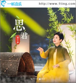 思君 （单曲）