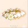 花玲 我不曾忘记（伴奏）- 花玲 /张安琪 /沐霏 试听