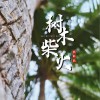 树木柴火