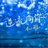 木小雅 逆流向你  试听