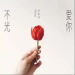 不光爱你 （单曲）详情