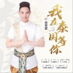 我在泰国等你 （单曲）详情