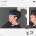 秘密 （单曲）详情