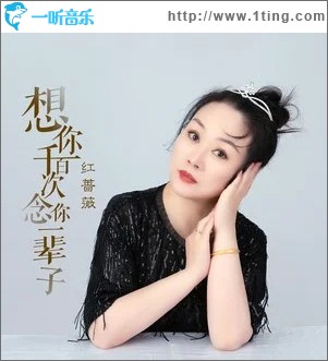 想你千百次念你一辈子 （单曲）