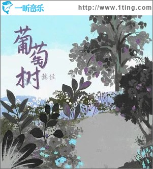 葡萄树 （单曲）
