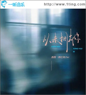 从未拥有你 （单曲）