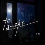 大雨还在下（单曲）详情