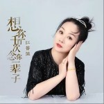 想你千百次念你一辈子 （单曲）详情