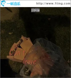 Don't Leave （单曲）