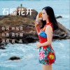 石榴花开 （单曲）