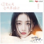 你曾从我全世界路过 （单曲）