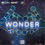 Wonder （单曲）详情