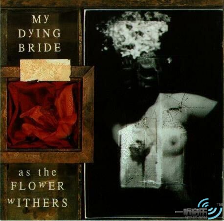 As the Flower Withers