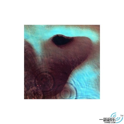 Meddle