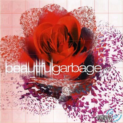 Beautiful Garbage