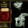 My Dying Bride The Bitterness and the Bereavement 试听