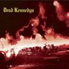 Dead Kennedys Kill The Poor 试听
