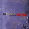 Forty Seasons- The Best of Skid Row