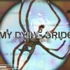 My Dying Bride Heroin Chic 试听