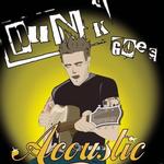 Punk Goes Acoustic