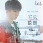 不只遗憾 （单曲）详情