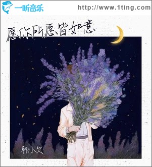 愿你所愿皆如意 （单曲）