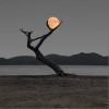 ILLBlAUER 你能听见我 试听
