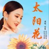 宋琴 太阳花 试听