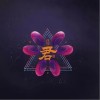 大布偶 君 试听