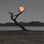 你能听见我 （单曲）详情