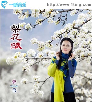 梨花赋 （单曲）
