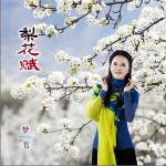 梨花赋 （单曲）详情