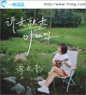 说走就走可以吗 （单曲）